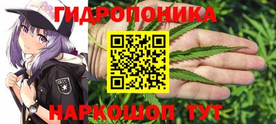 прущие крисы Донецк